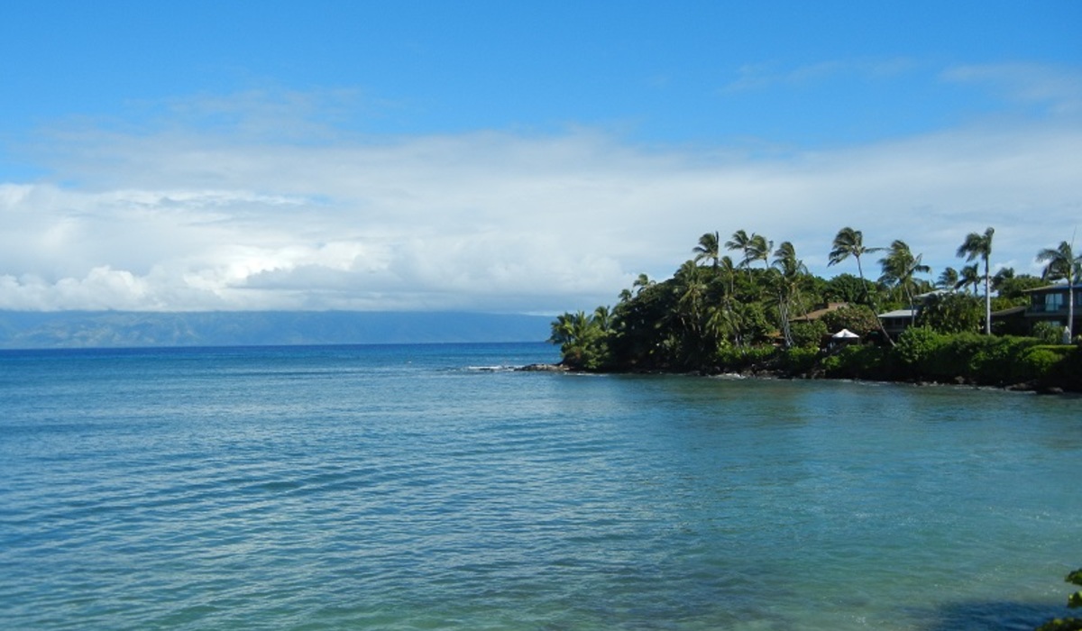 Lessons from the World's Healthiest People