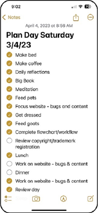 Use a tool such as Notes on your phone