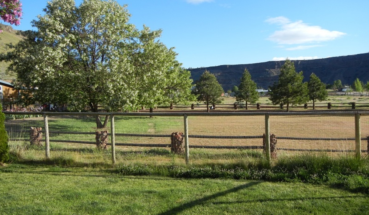 Nice view from backyard