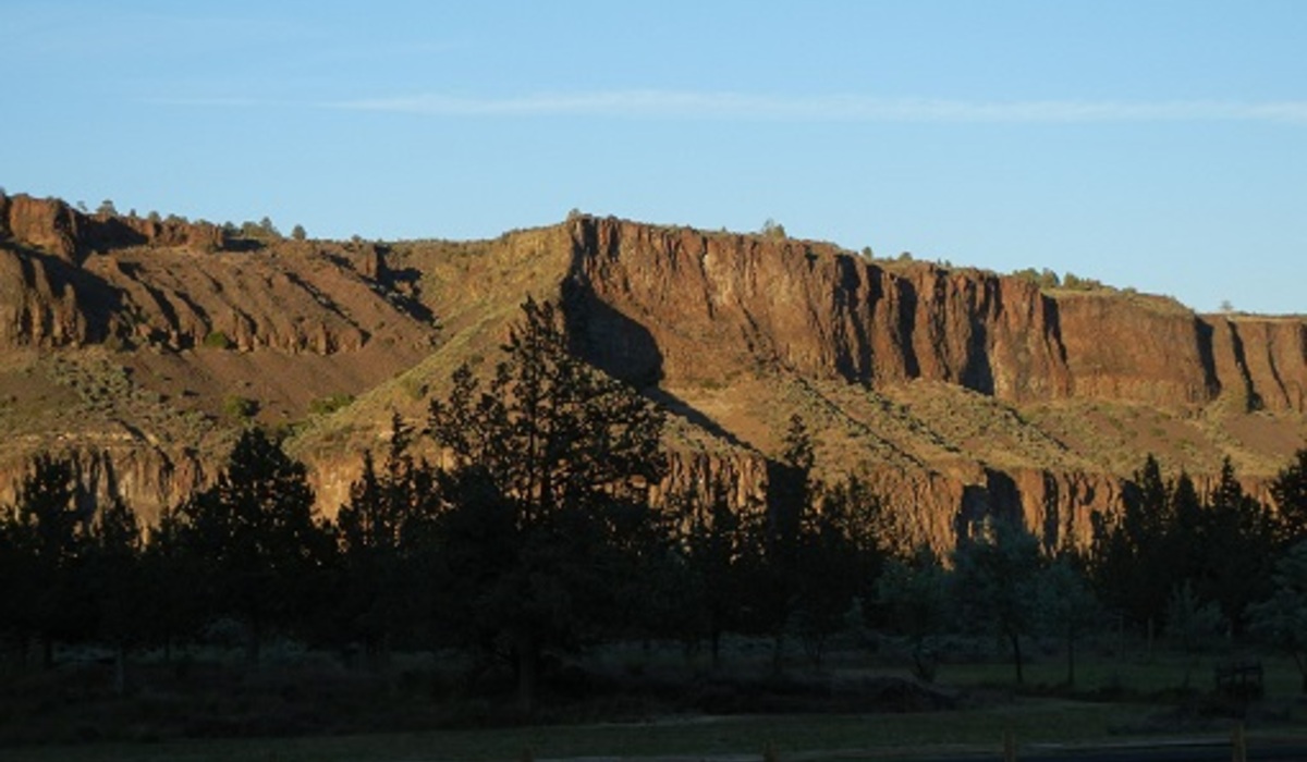 Looking out my living room window.