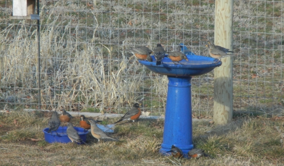 Just bob, bob, bobin along.