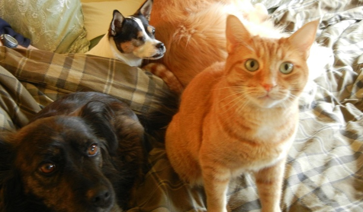 Moss claims plausible deniability.