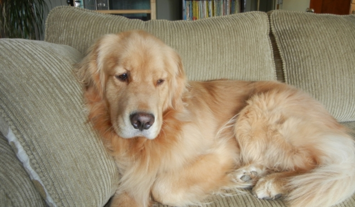 Penny for your thoughts?