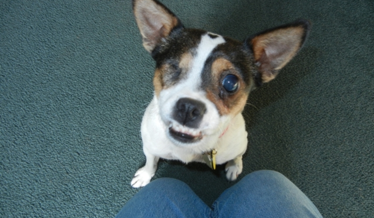 She was an inspiration