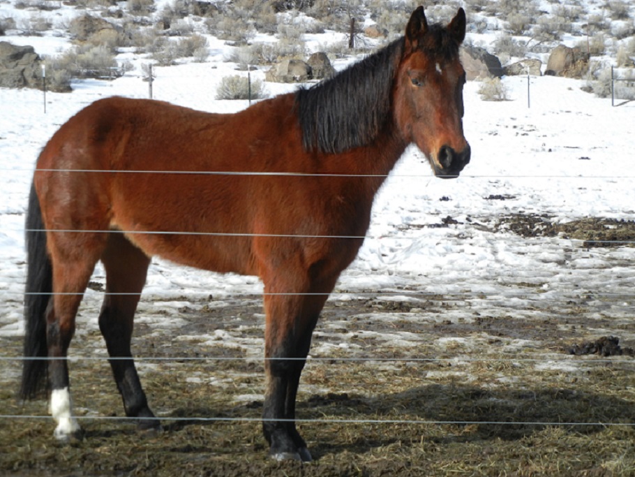 Sierra is wearing her winter coat