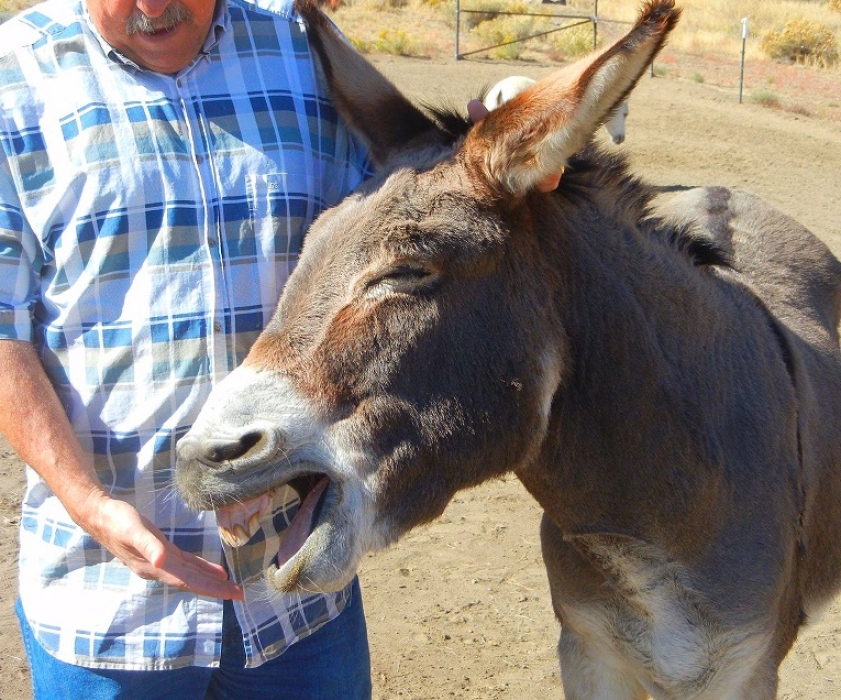 Why is Stuart Laughing?