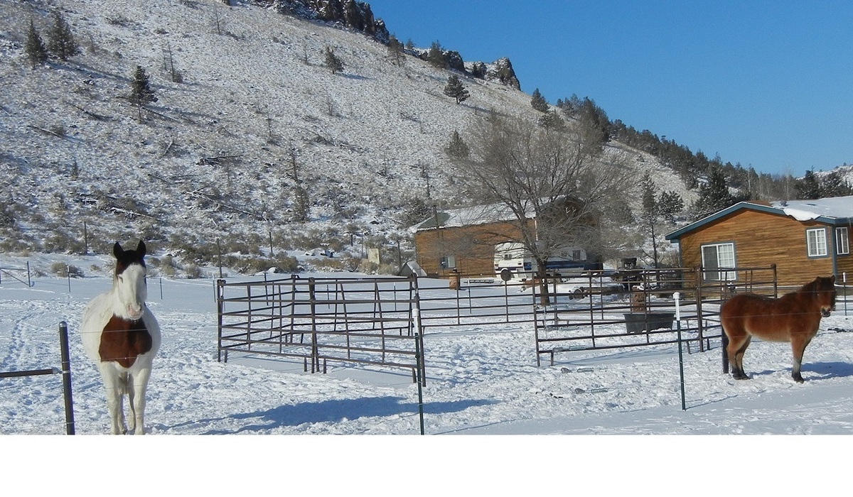 A winter-time romance?