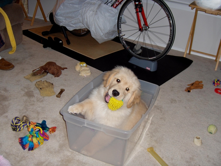 Took some digging, but I found it.