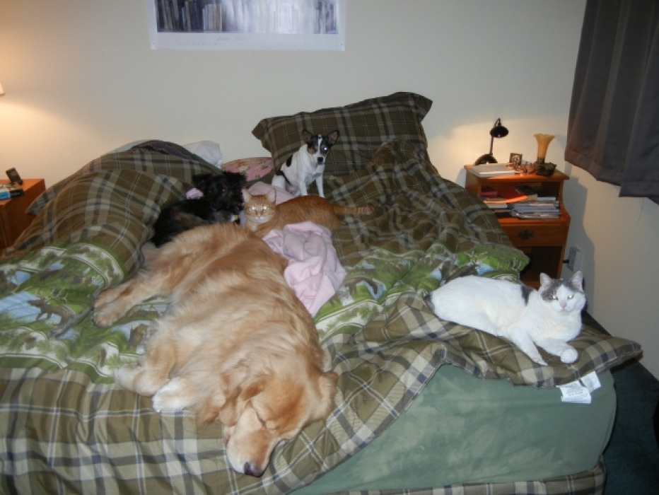 We're trying to sleep.