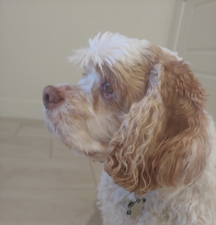 I bet there's food somewhere out of the picture.