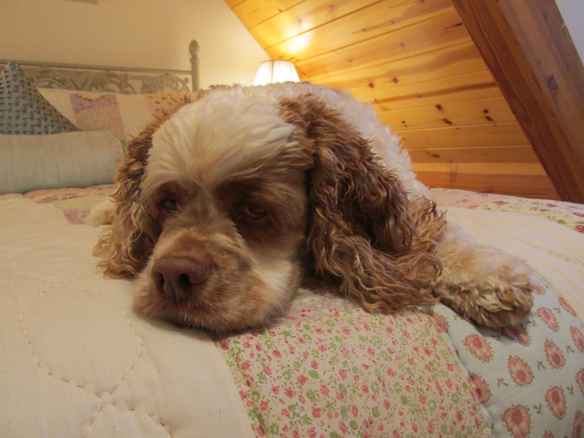 Gotta at least be worth a  buck.