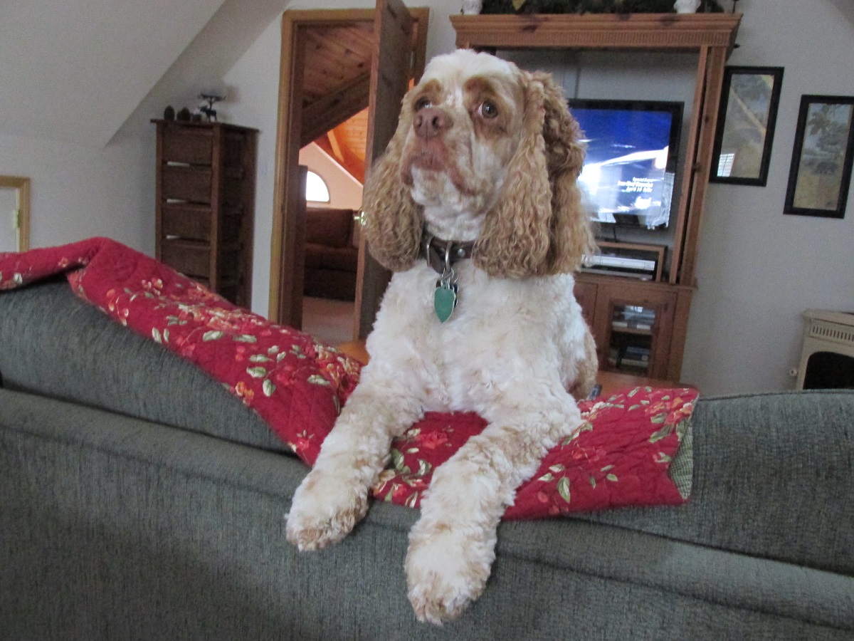 OK.  Who's got the remote?