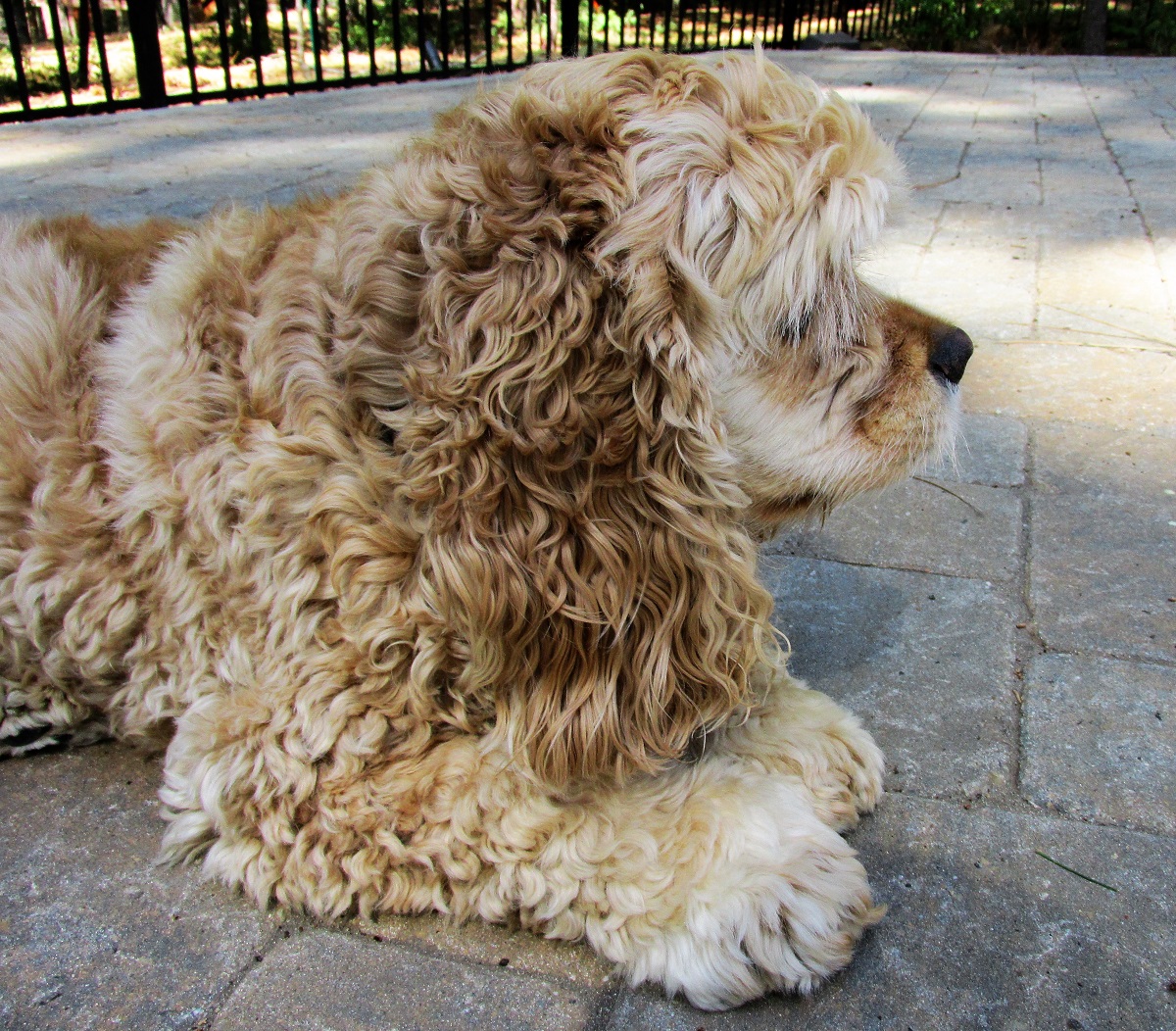 'Bout time for a trim.