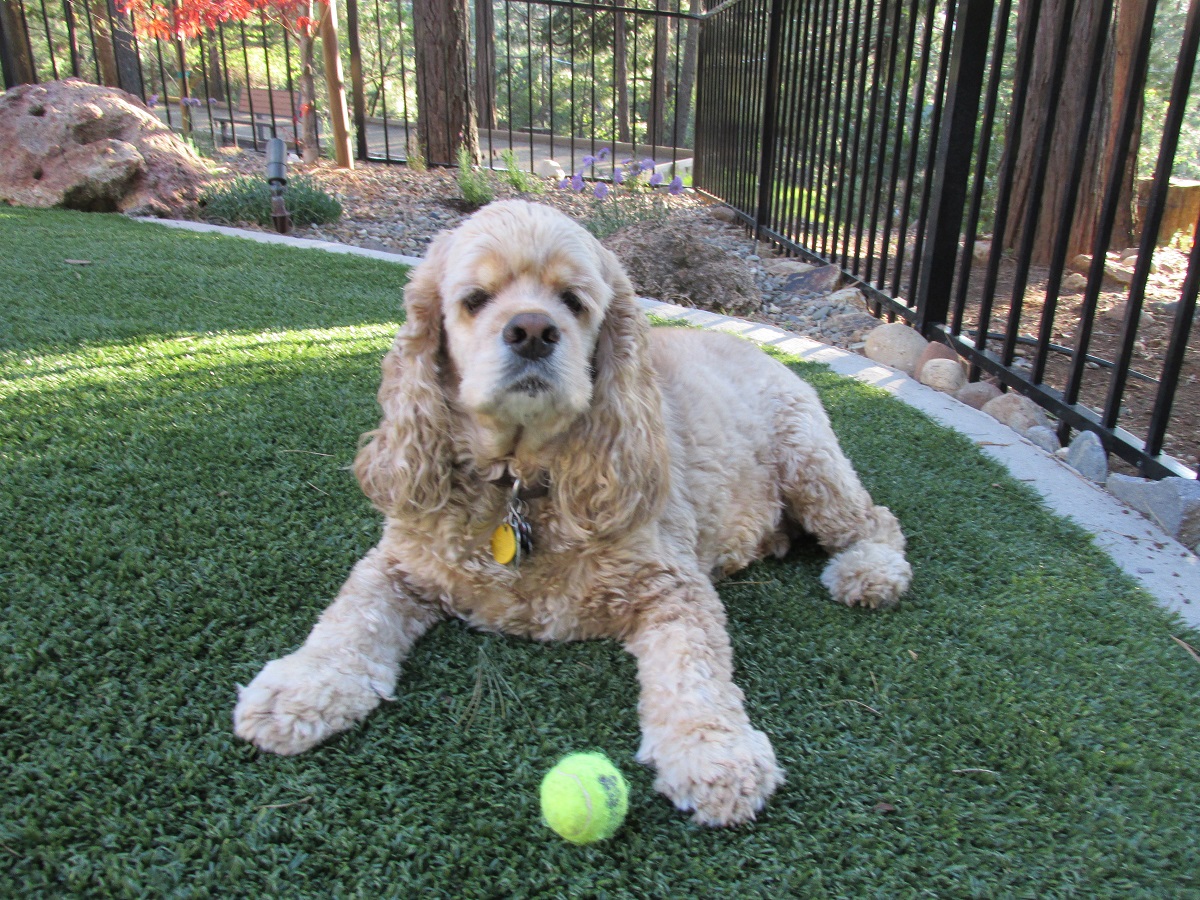 You've got to be kidding.