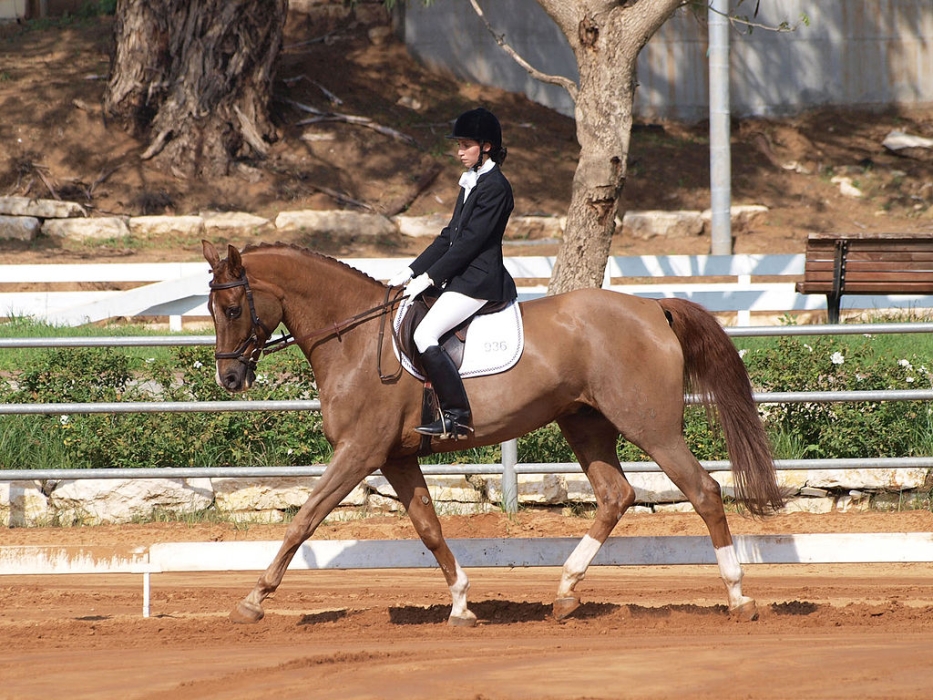 Elevating Elegance and Precision