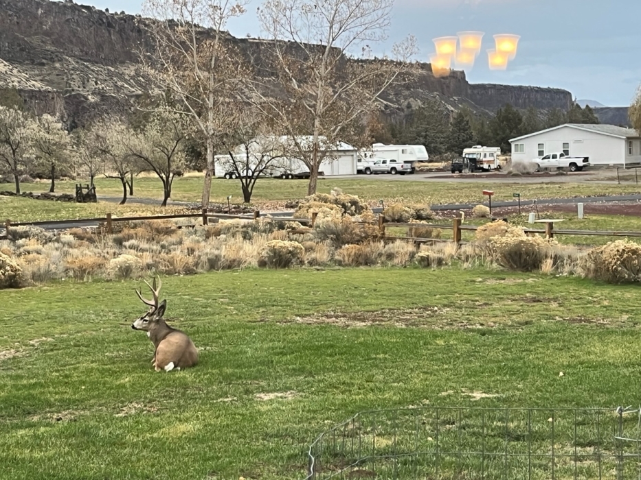 Forecast: HI 53 LO 42 Rain 70%