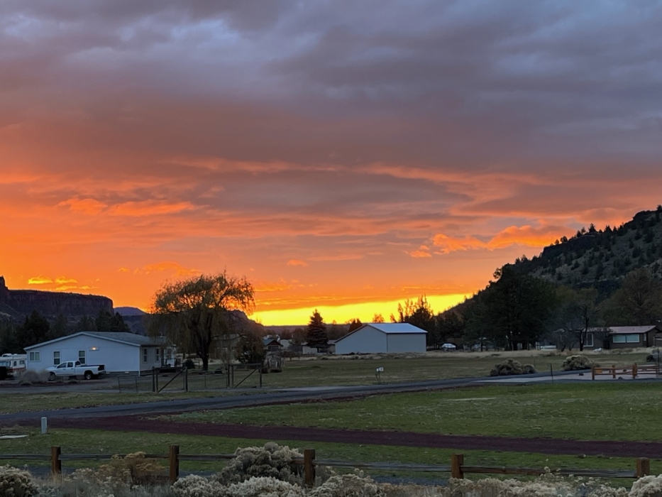 Forecast - Hi 50 Lo 32 Mostly Cloudy