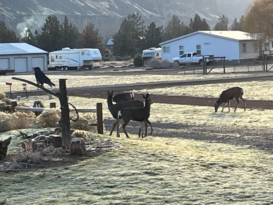 Forecast:  Hi 53  Lo 26 Partly Cloudy