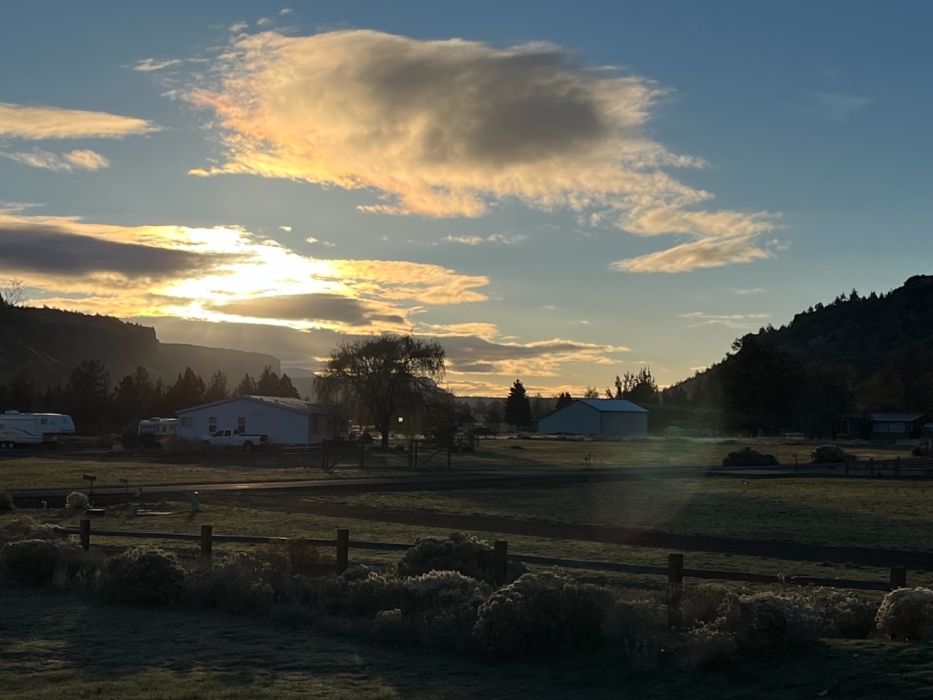 Forecast:  Hi 50 Lo 32 Sunny