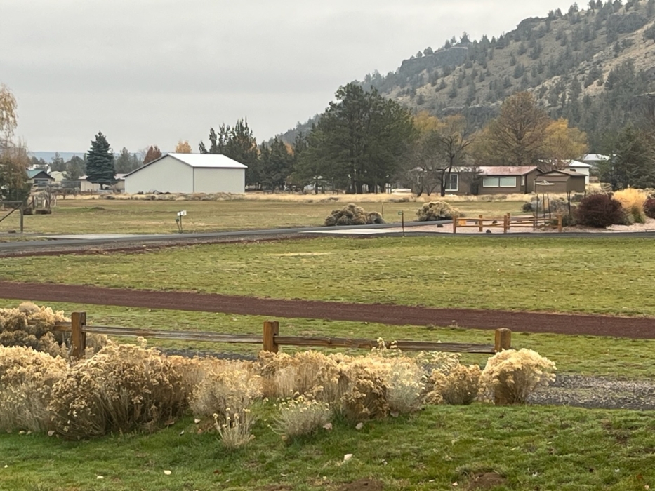 Forecast: Hi 56 Lo 31 Mostly Cloudy











