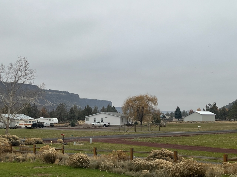 Forecast:  Hi 50  Lo 36 Mostly Cloudy