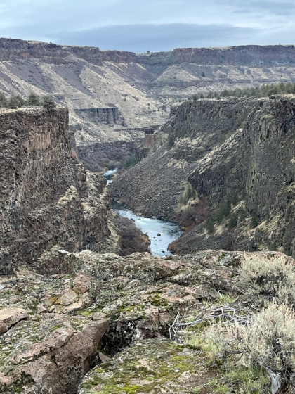 Forecast: Hi 43 Lo 30 Partly Cloudy