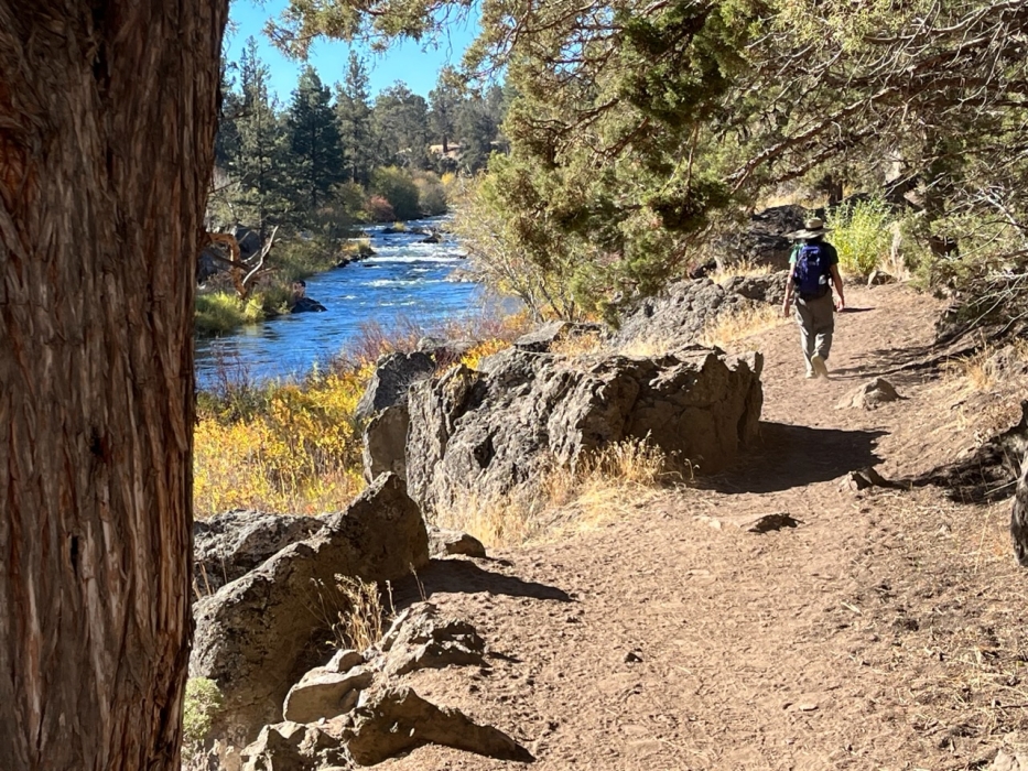 Forecast: Hi 40 Lo 14 Sunny