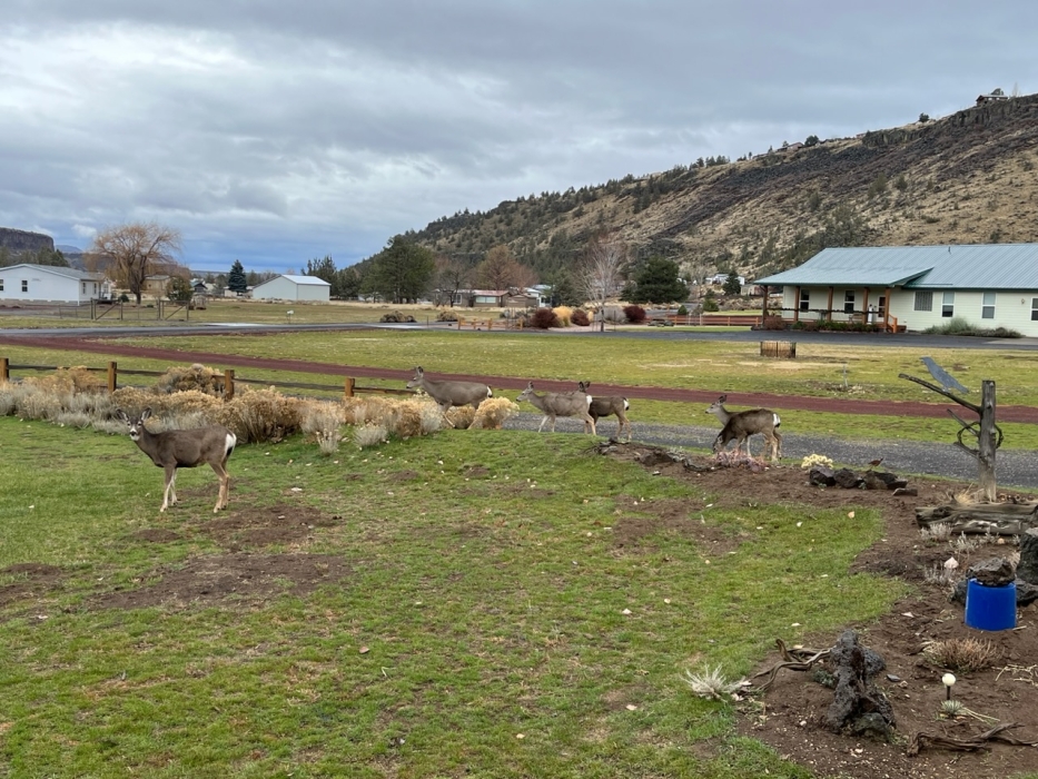 Forecast:  Hi 45 Lo 36 Cloudy/ Light Rain
HRV 10