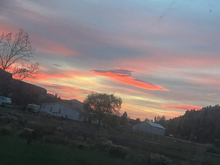 Lots of Pink Cloud mornings in Horny Hollow