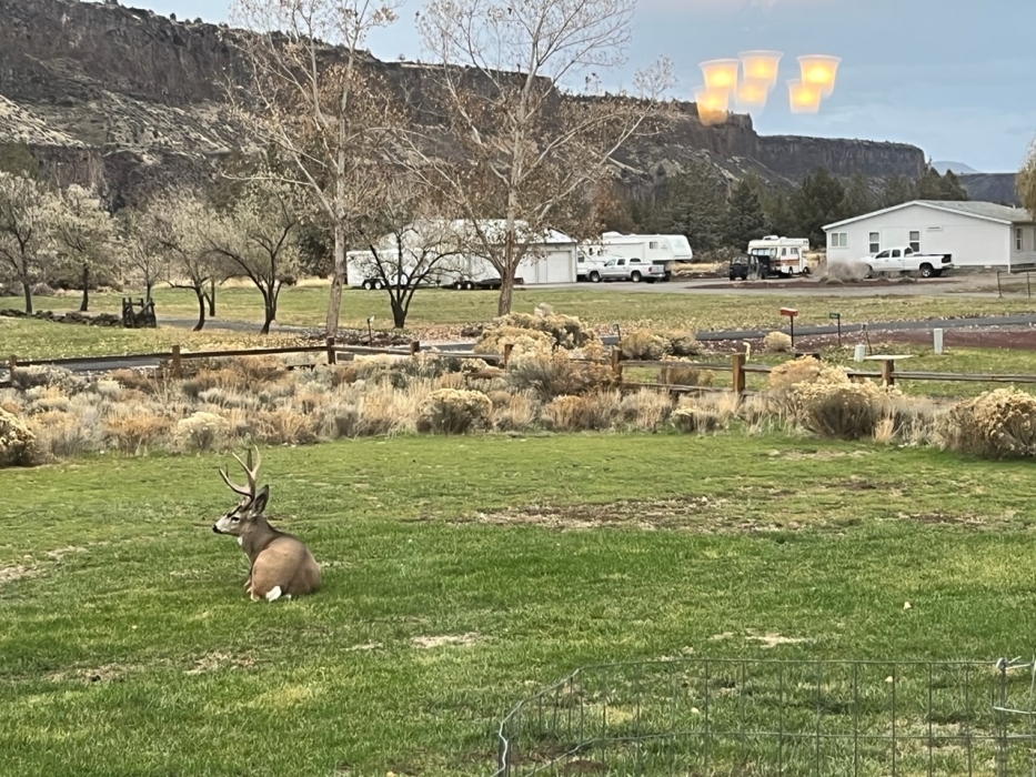 Must be hunting season