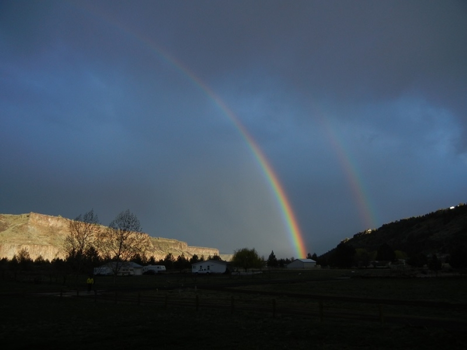 A Spring storm in Horny Hollow