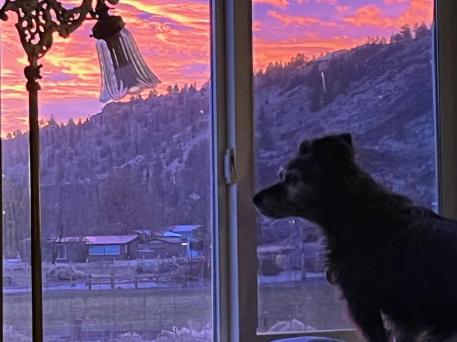 Forecast: Hi 40 Lo 33 Partly Cloudy
HRV 10