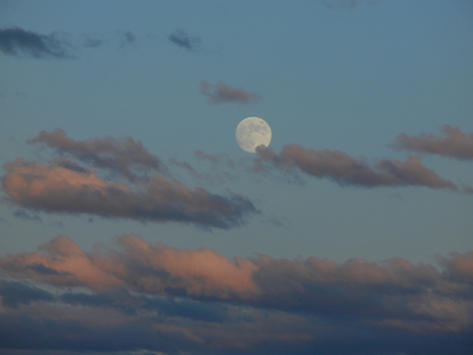 Can't wait for the full moon every month