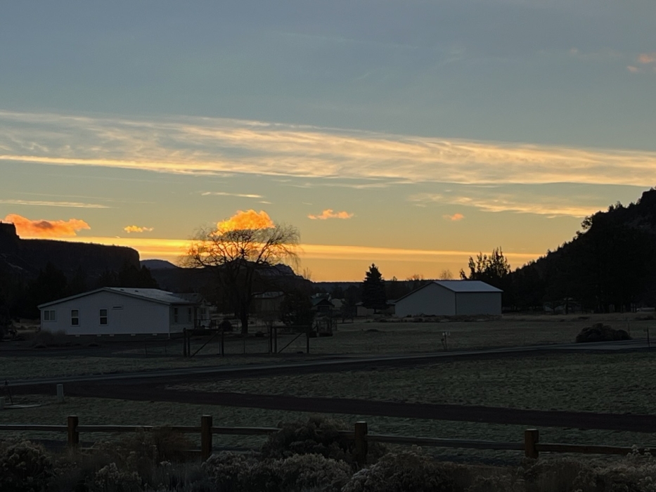 Forecast:  Hi 60 Lo 31 Mostly Clear