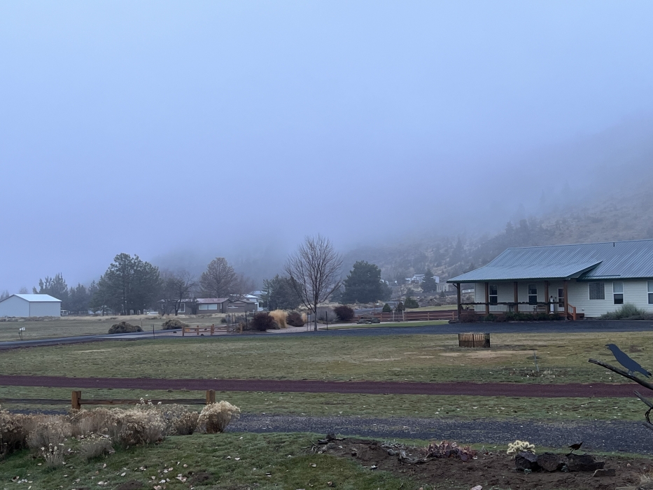 Forecast: Hi 51 Lo 32 Mostly Cloudy