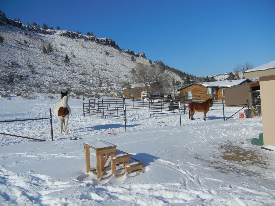 Corral in winter