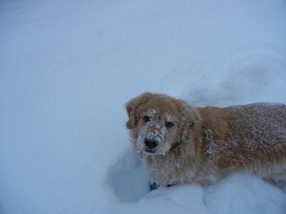 Was a happy, happy soul