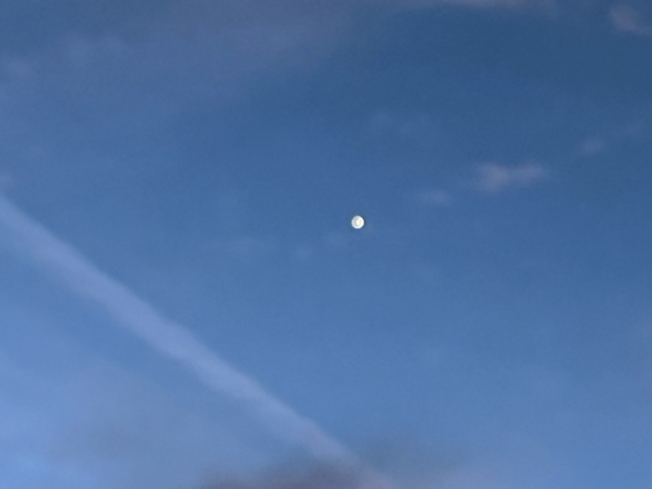 Forecast:  Hi 50 Lo 48 Mostly Cloudy