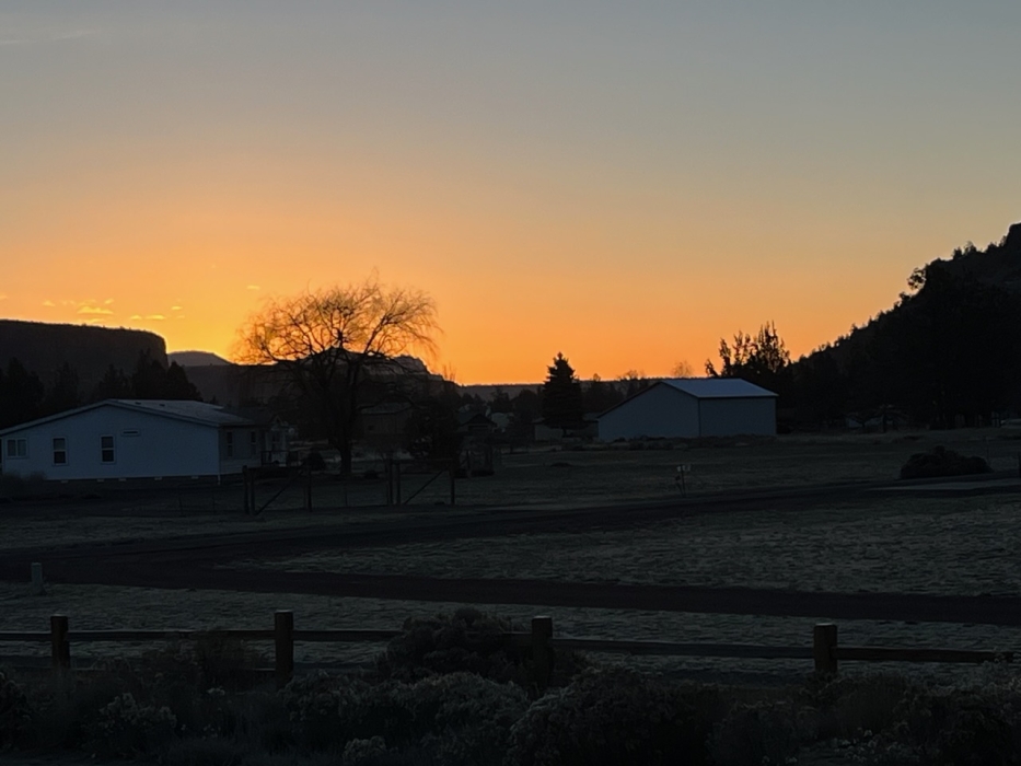 Forecast: Hi 43 Lo 29