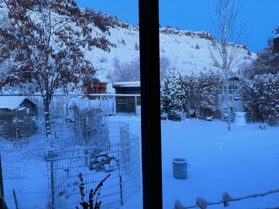 Forecast:  Hi 45 Lo 29 Snow Flurries, Drizzle