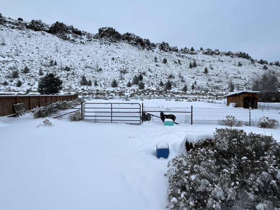 Forecast:  Hi 19  Lo 4  Light Snow Showers