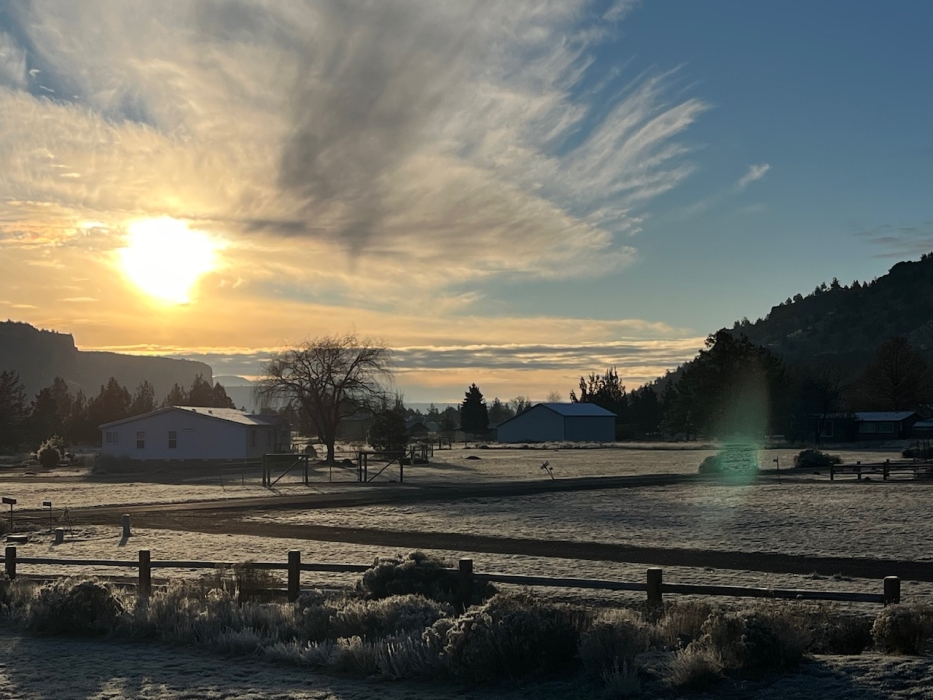 Forecast:  Hi 44 Lo 27 Partly Cloudy