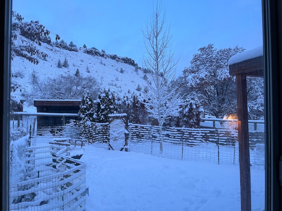 Forecast:  Hi 34 Lo 27 Cloudy