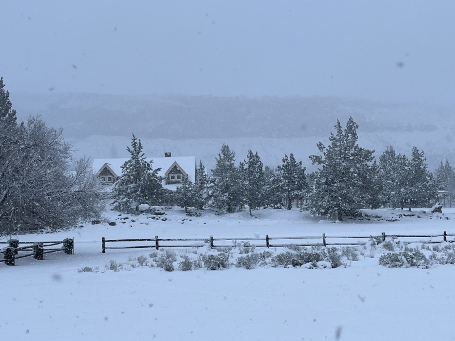 Forecast:  Hi 47 Lo 36 Cloudy
Meal On Wheels